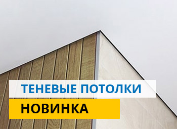 Натяжные потолки теневые